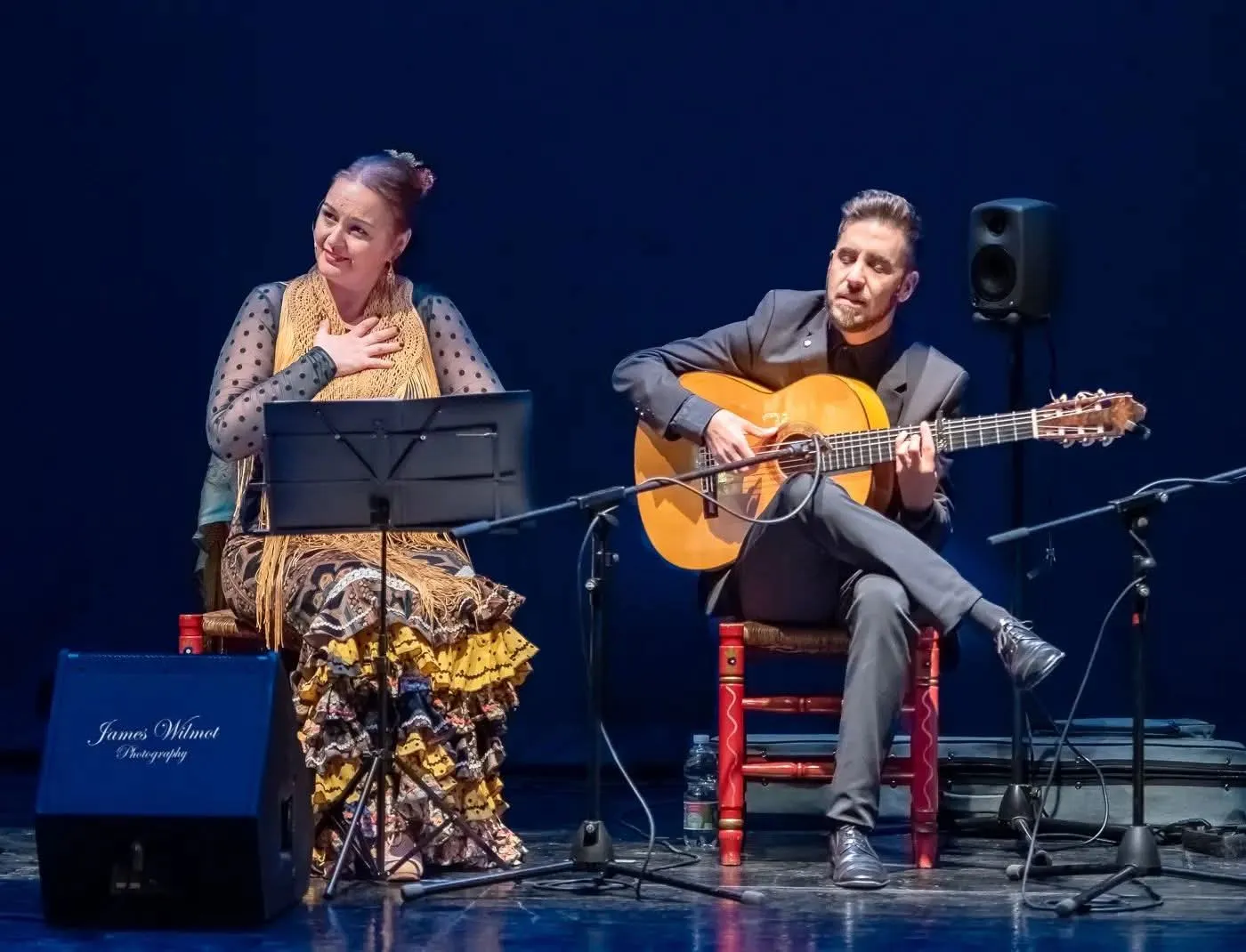 Estudio De Baile Flamenco Pilar Soto — baile-studio en Nueva Málaga, Málaga — 3