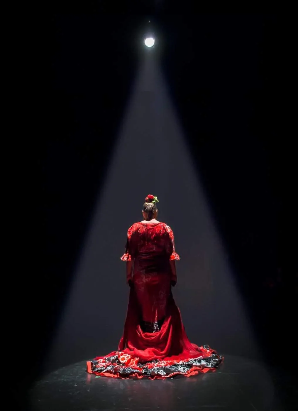 Estudio De Baile Flamenco Pilar Soto — baile-studio en Málaga — 3