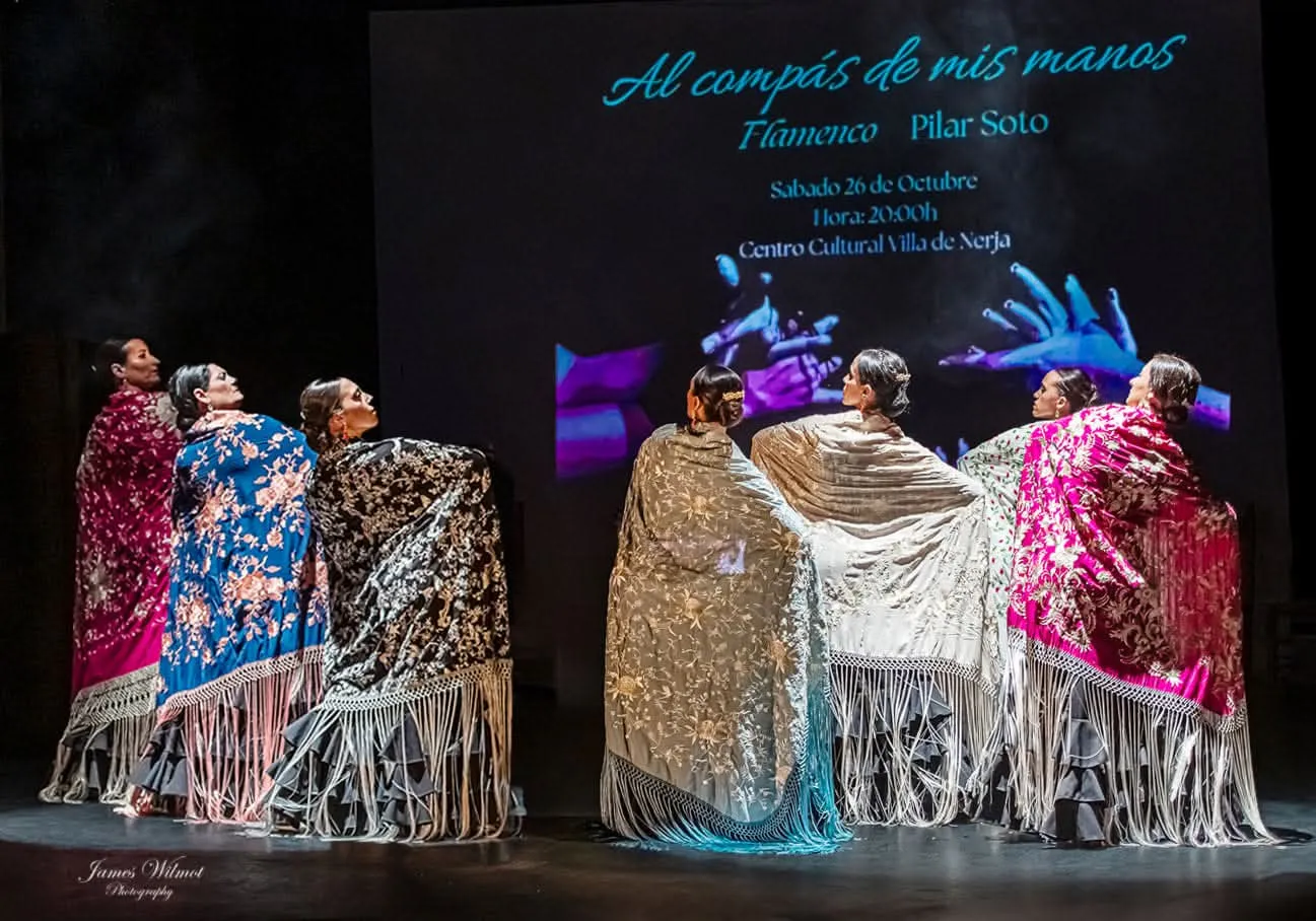 Estudio De Baile Flamenco Pilar Soto — baile-studio en Málaga — 5