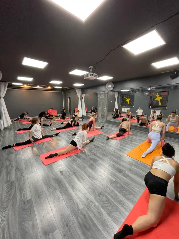 European College of Dance London — dance-studio in Isle of Dogs, London — 3