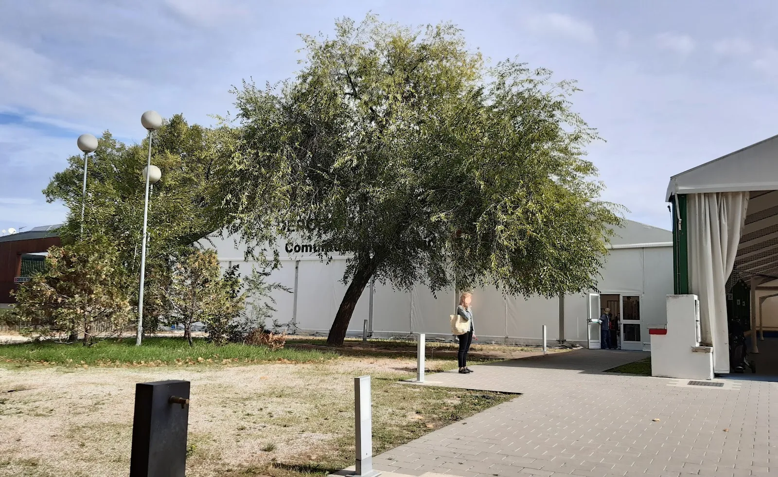 Federación Madrileña De Taekwondo — artes marciales-studio en Madrid — 4