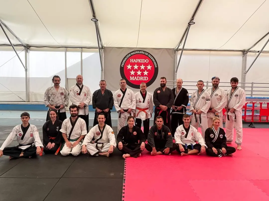 Federación Madrileña De Taekwondo — artes marciales-studio en Madrid — 5