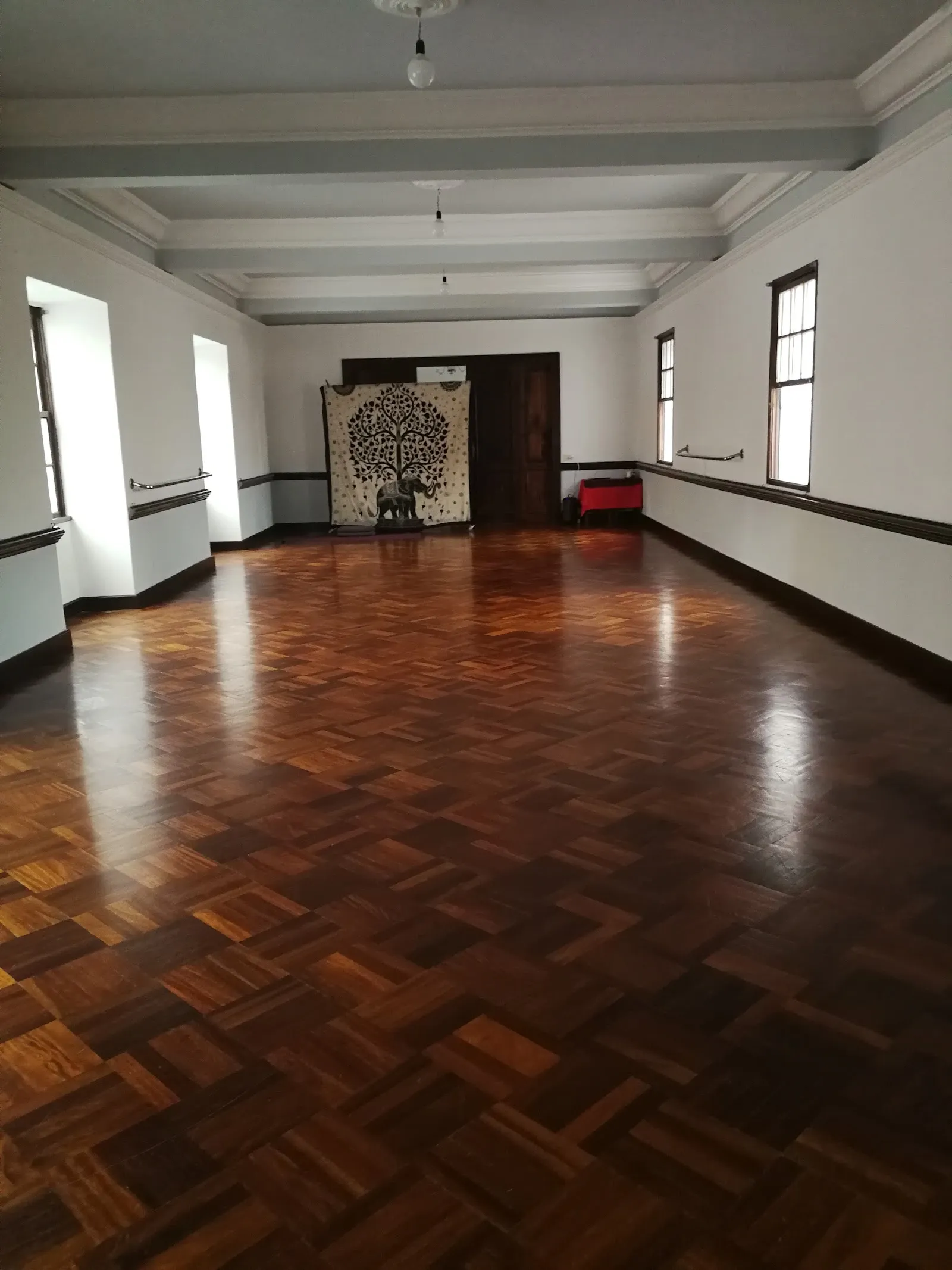 Sonia Loga — yoga-studio en Santa Cruz de la Palma — 3