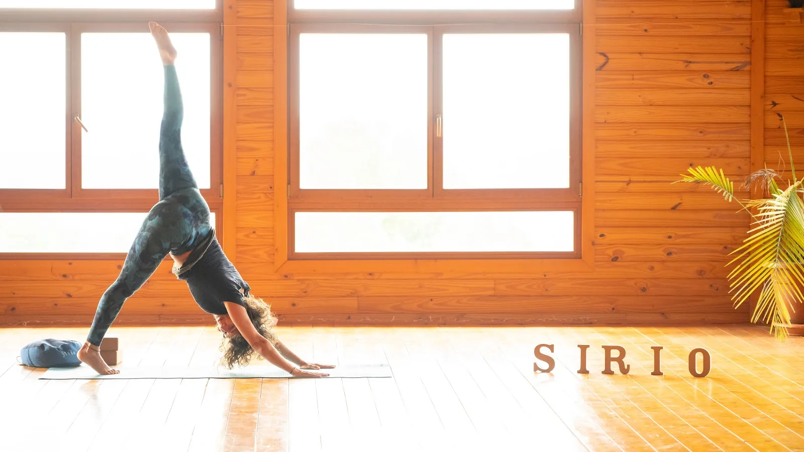 Tarannà Estudio De Yoga Y Espacio Polivalente — yoga-studio en Valencia — 5