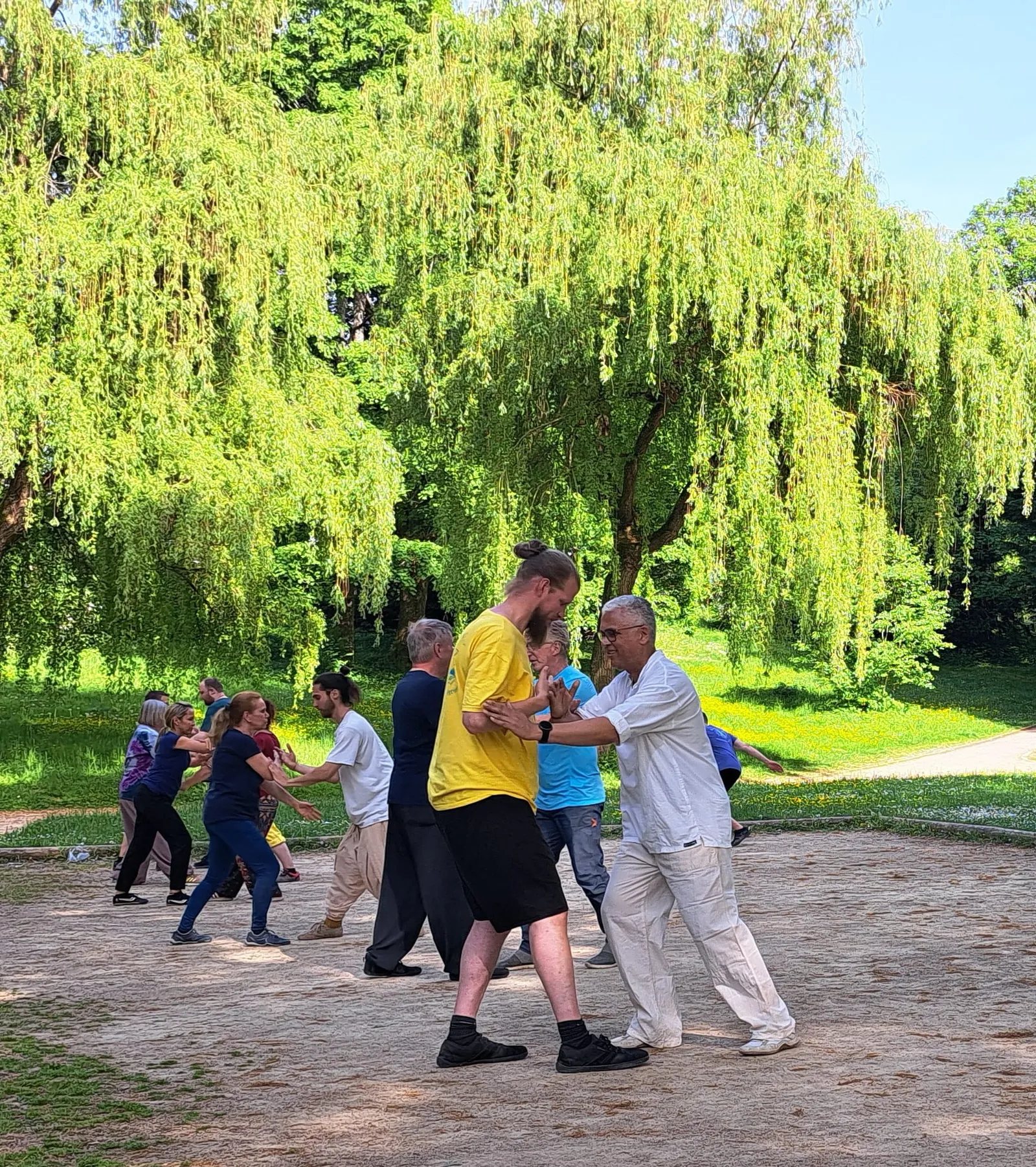 Wu Tai Chi Trier — kampfsport-studio in Trier — 3