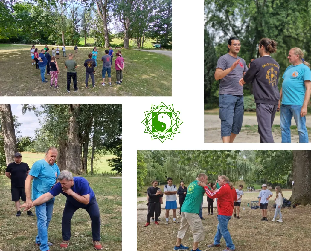 Wu Tai Chi Trier — kampfsport-studio in Trier — 5