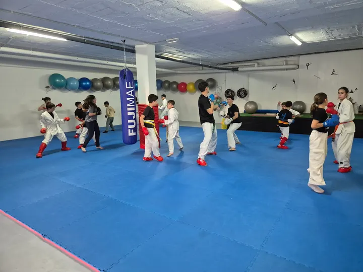 Asociación Española De Artes Marciales Hiho Ichi Ryu Club Piramide — artes marciales-studio en Cártama — 2