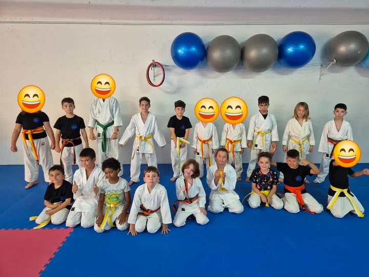 Asociación Española De Artes Marciales Hiho Ichi Ryu Club Piramide — artes marciales-studio en Cártama — 3