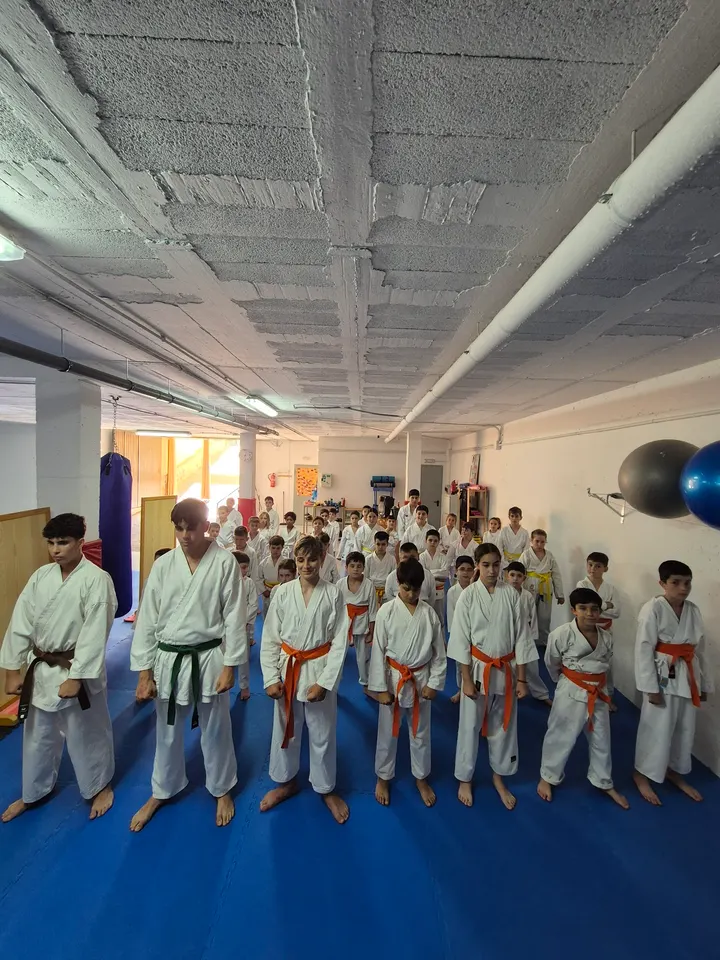 Asociación Española De Artes Marciales Hiho Ichi Ryu Club Piramide — artes marciales-studio en Cártama — 3