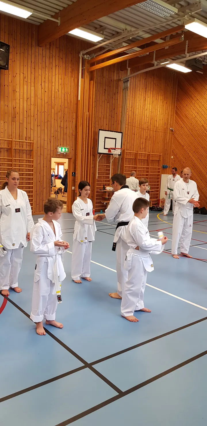 Mehr Taekwondoklubb — kampsport-studio i Torslanda, Göteborg — 3