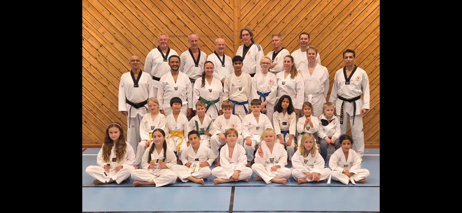 Mehr Taekwondoklubb — kampsport-studio i Göteborg — bild 3