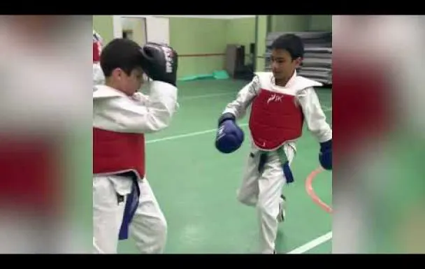 Taekwondo Nice Academy — arts martiaux-studio à Saint-Barthélemy, Nice — 3