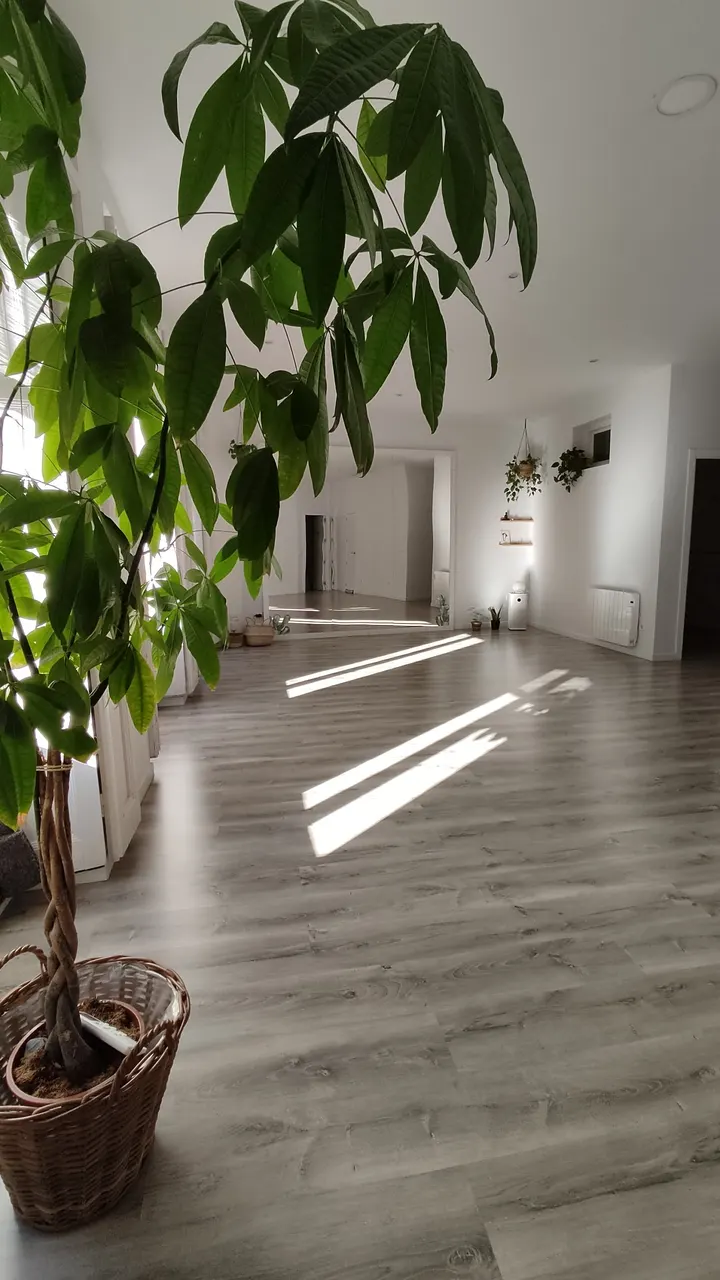 Madera Yoga Estudio — yoga-studio en Universidad, Madrid — 2