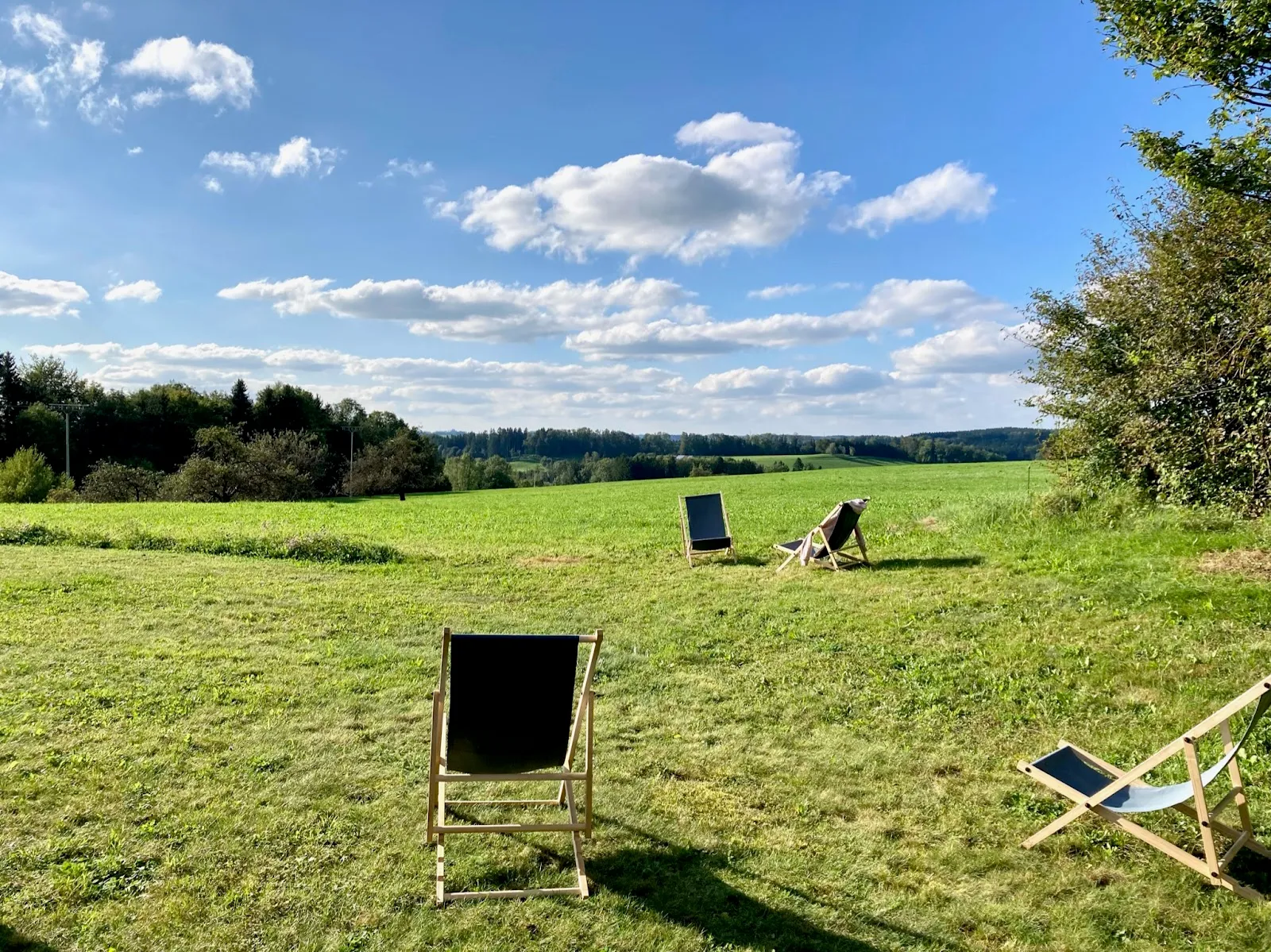 VOGELWILD Coaching & Retreats — meditation-studio in München — 3