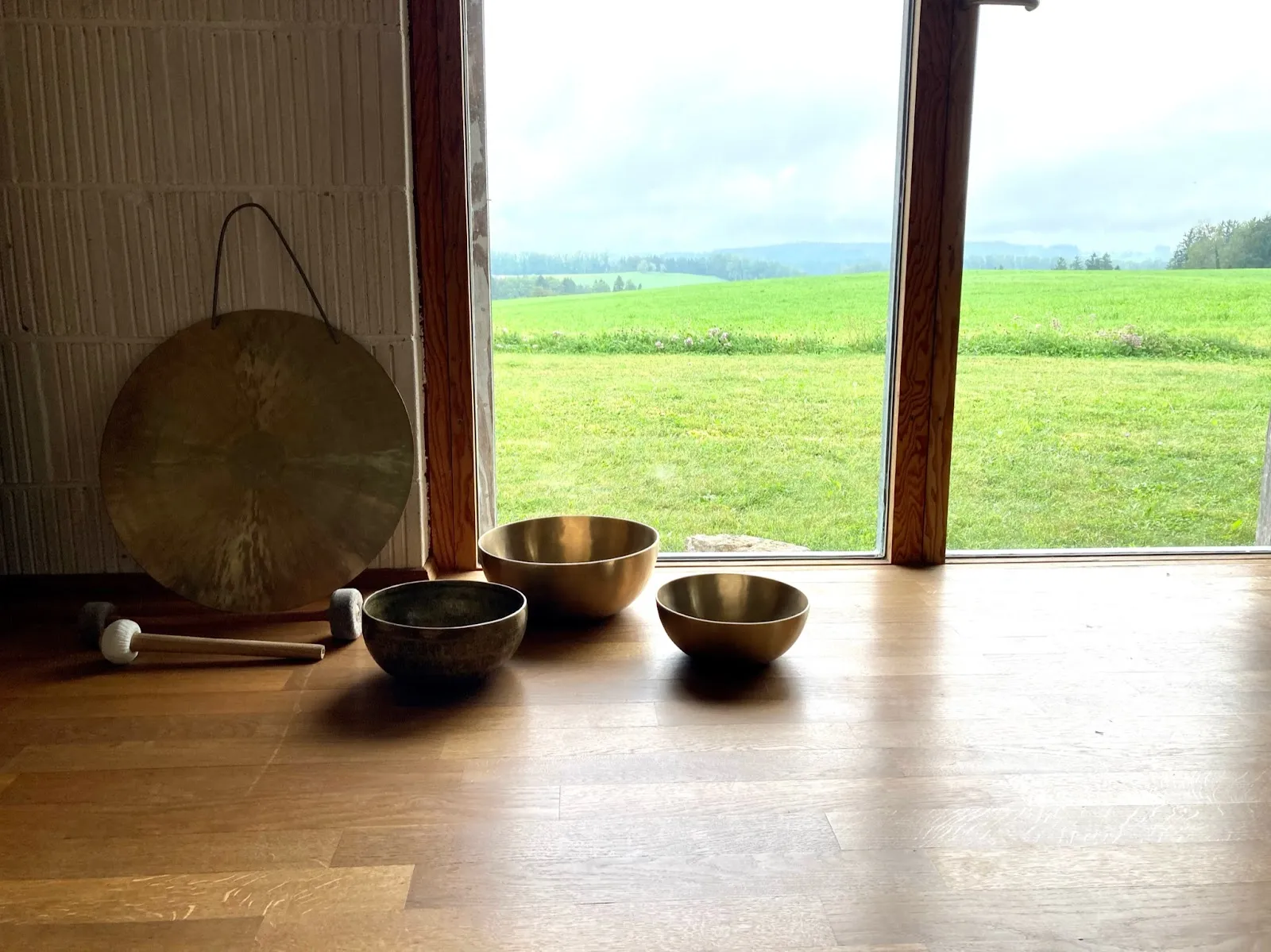 VOGELWILD Coaching & Retreats — meditation-studio in München — 4