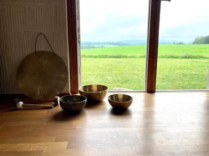 VOGELWILD Coaching & Retreats — meditation-studio in München — 4