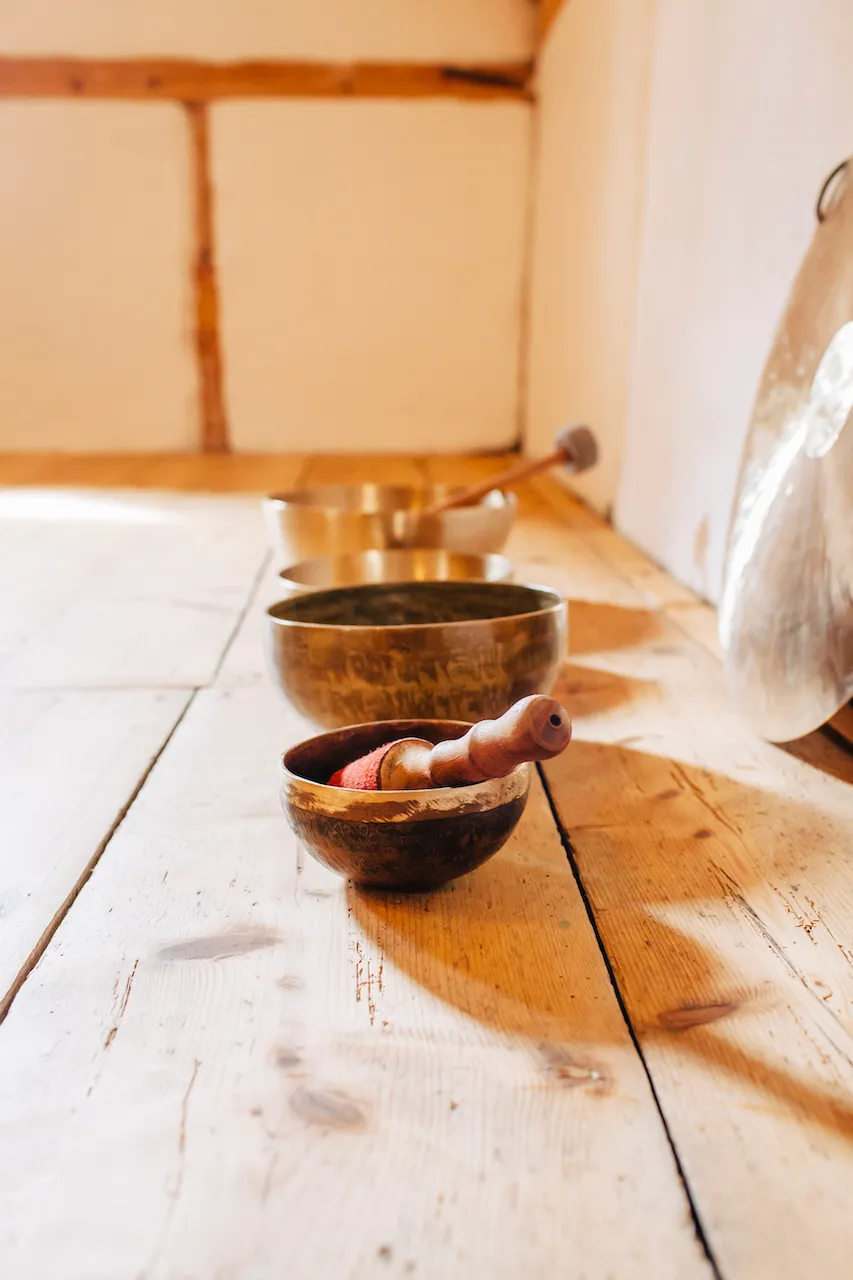 VOGELWILD Coaching & Retreats — meditation-studio in München — 5