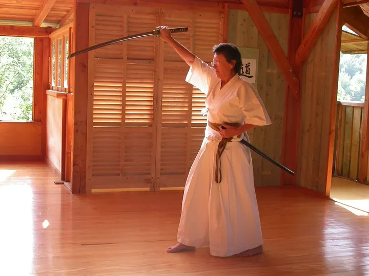 Nice Kendo Club - Section Iaido — Arts martiaux à Carabacel, Nice