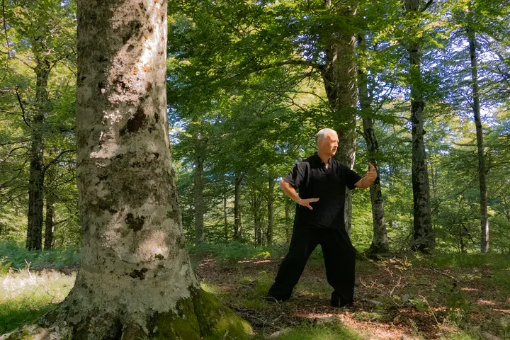 Shen Qi Yi Pamplona — Artes marciales en Ermitagaña-Mendebaldea, Pamplona