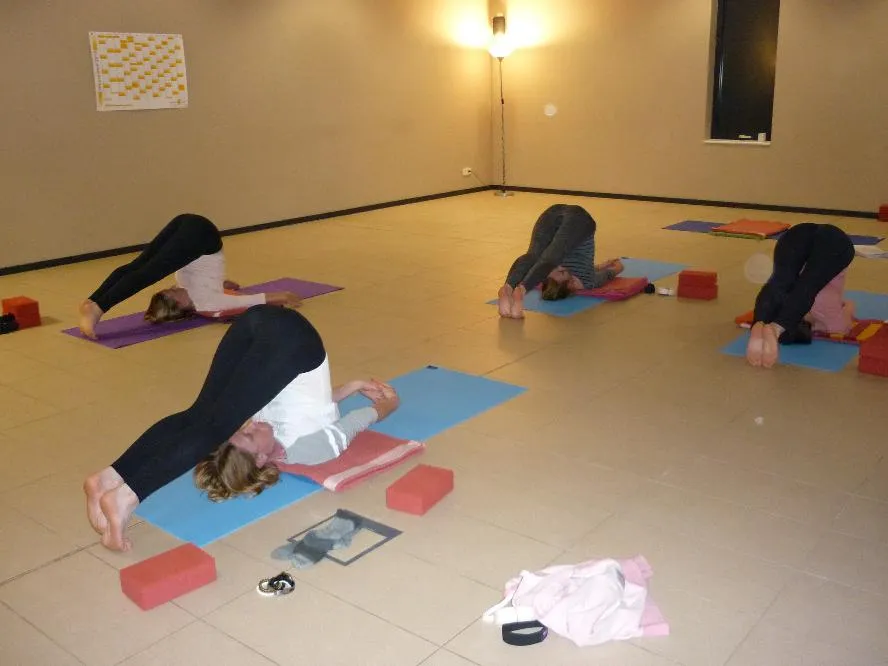 YOGASANA - YOGA WEST — yoga-studio i Kassel — 3