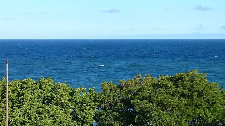 Fysio Österlen — pt-studio i Simrishamn — 3