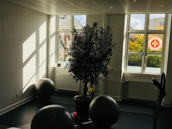 FysioDanmark Helsingør — træningsstudio i Helsingør — 4