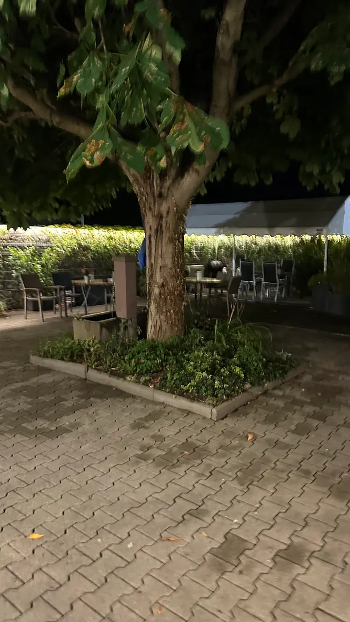 Gesundheitszentrum Buggingen Buggingen — fitnessstudio in Buggingen — 3