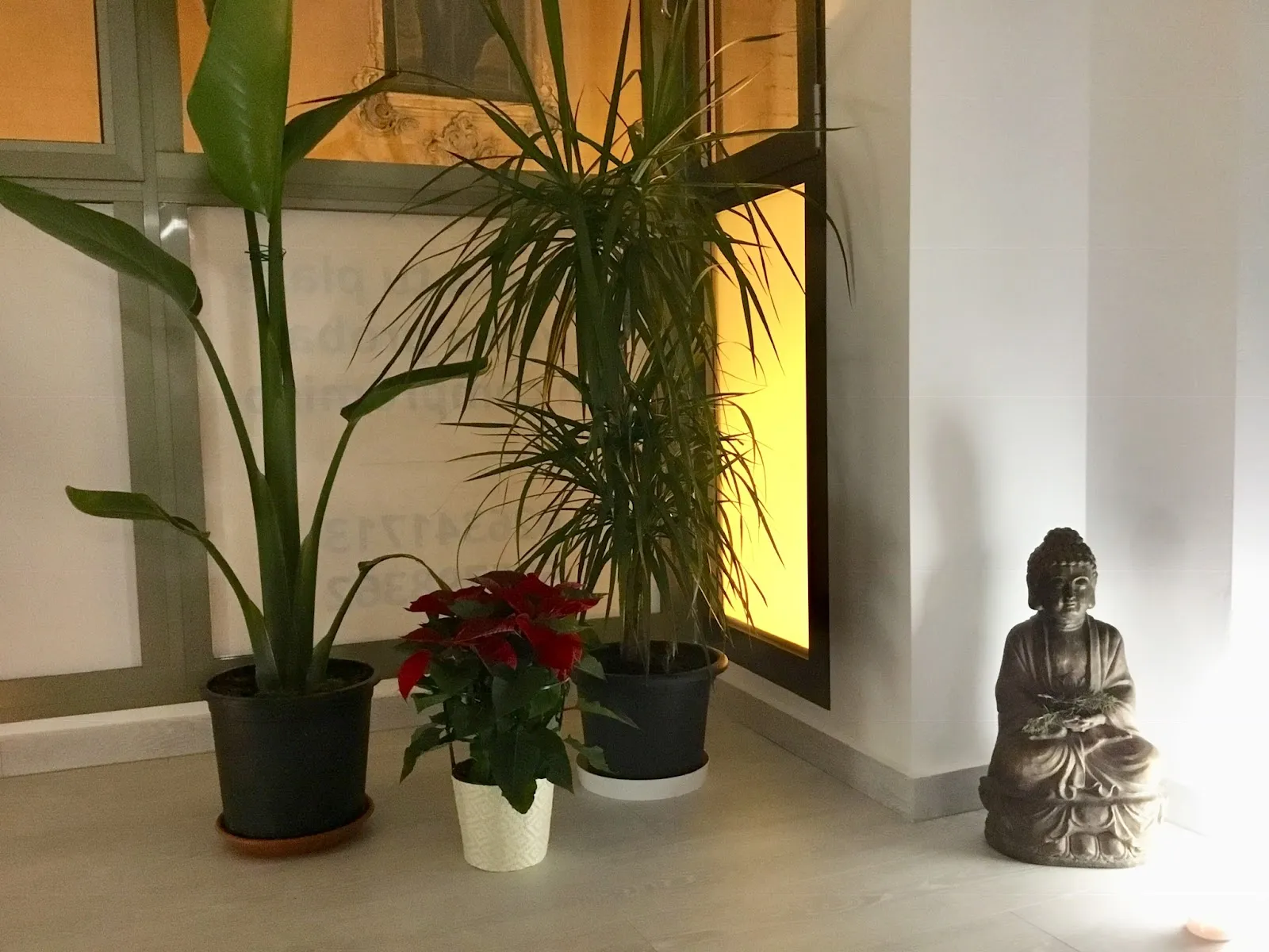 Dharana - Yoga By Pilar Tomás Castellón — yoga-studio en Castelló de la Plana — 5