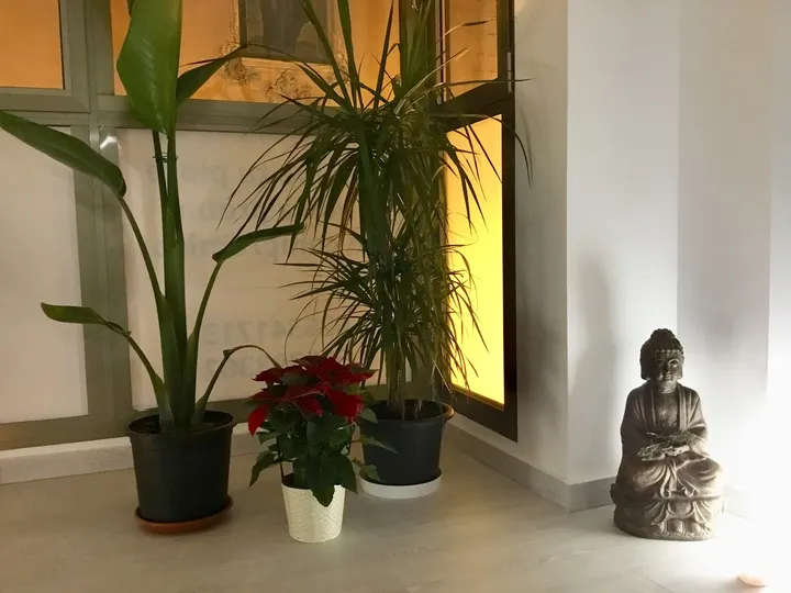 Dharana - Yoga By Pilar Tomás Castellón — yoga-studio en Castellón de la Plana — 5