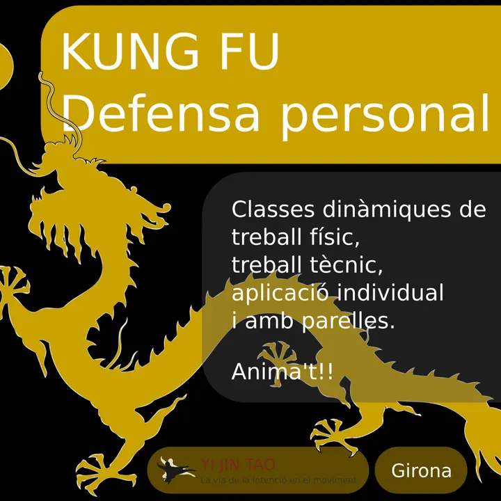 YI JIN TAO — artes marciales-studio en Girona — 3