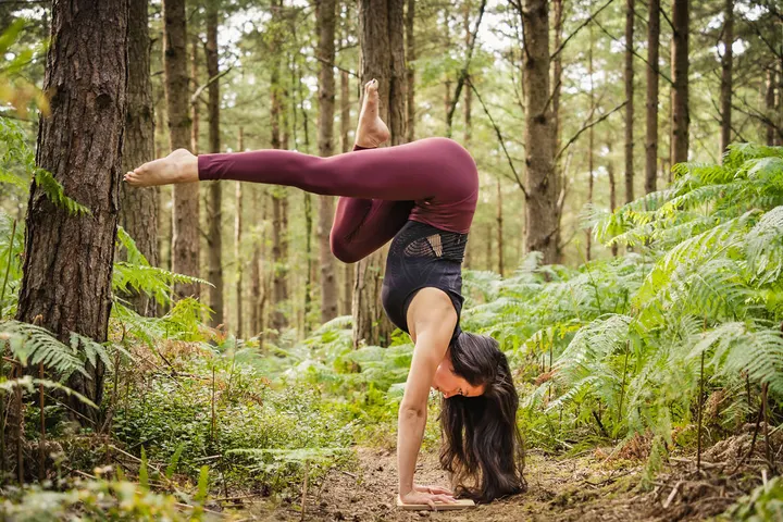 Sequoia Yoga — Yoga in Guildford Park, Guildford