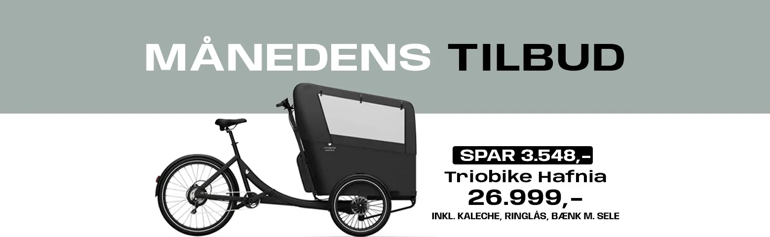 Ladcyklen.dk — cykling-studio i Vanløse, København — bild 3
