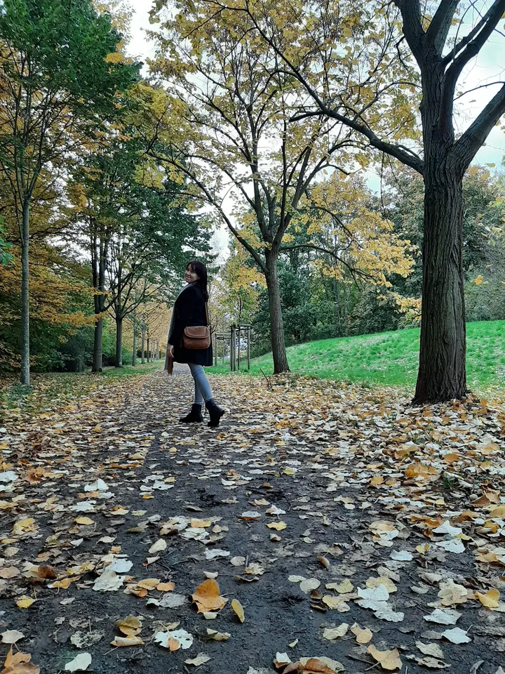 Calisthenics Park Westpark Braunschweig — calisthenics-studio in Weststadt, Braunschweig — 2