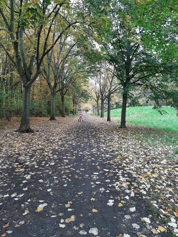 Calisthenics Park Westpark Braunschweig — Calisthenics in Weststadt, Braunschweig