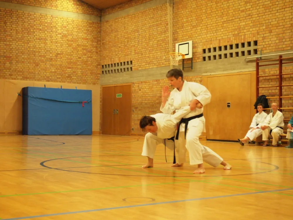 Goju-Ryu Karate Do — kampfsport-studio in Hamburg — 4