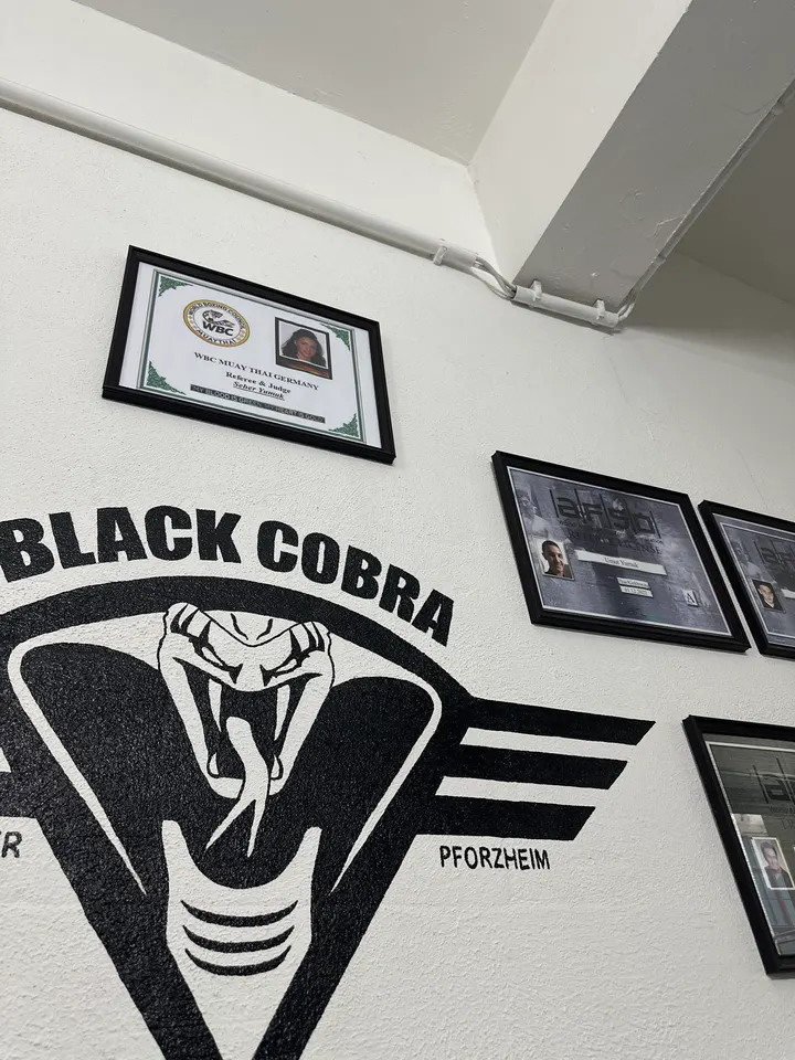 Sportcenter Black Cobra Pforzheim — kampfsport-studio in Pforzheim — 3