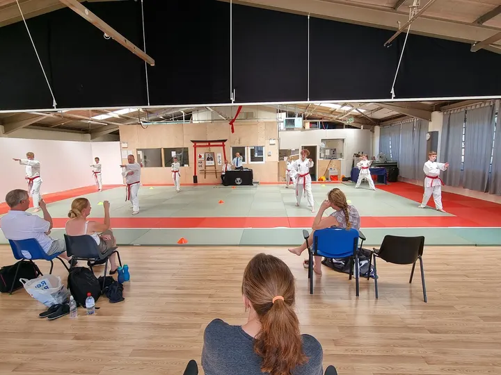 Torbay Olympic Gymnastics Club — gymnastics-studio in Barton, Torquay — 3