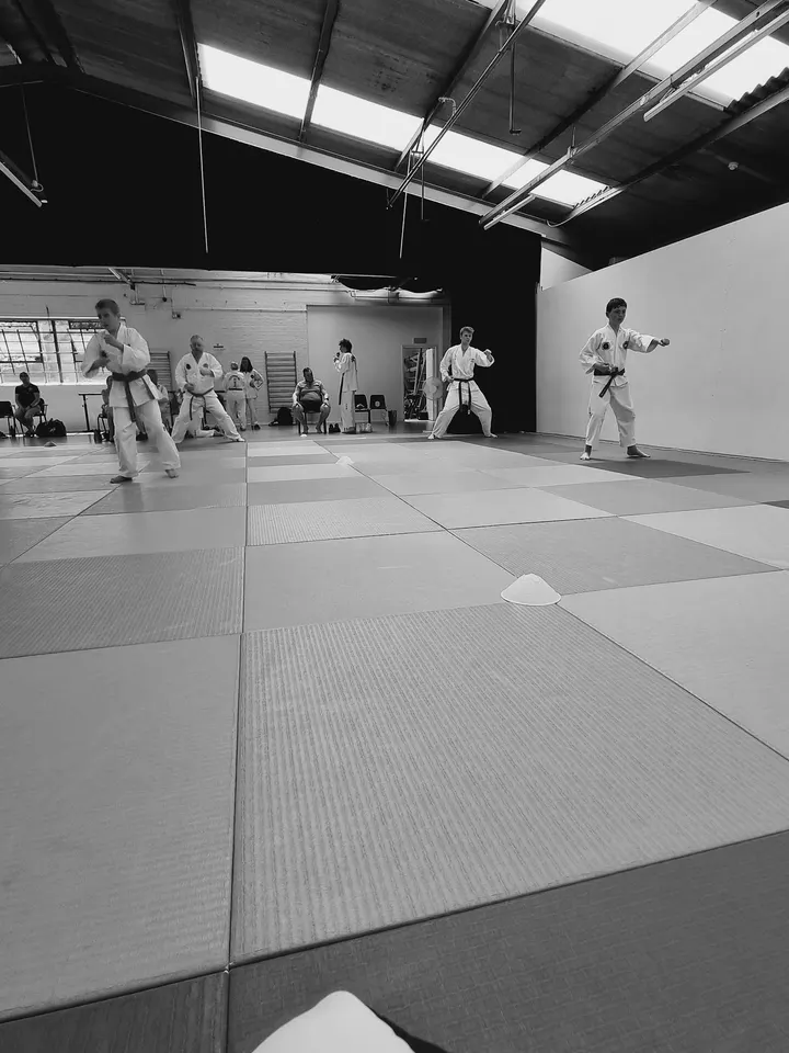 Torbay Olympic Gymnastics Club — gymnastics-studio in Torquay — 3