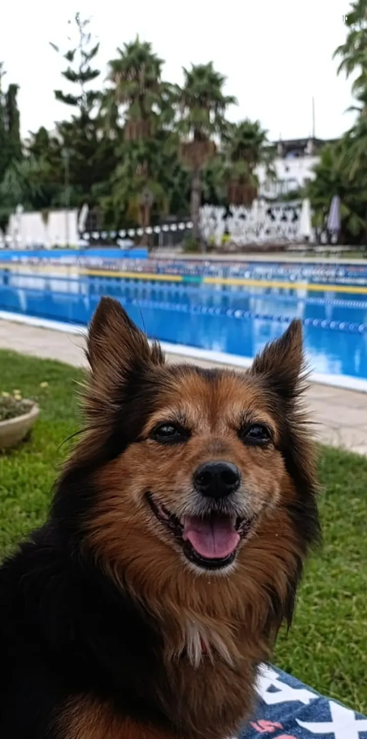 Piscina Adriatica — studio a Lecce — 3