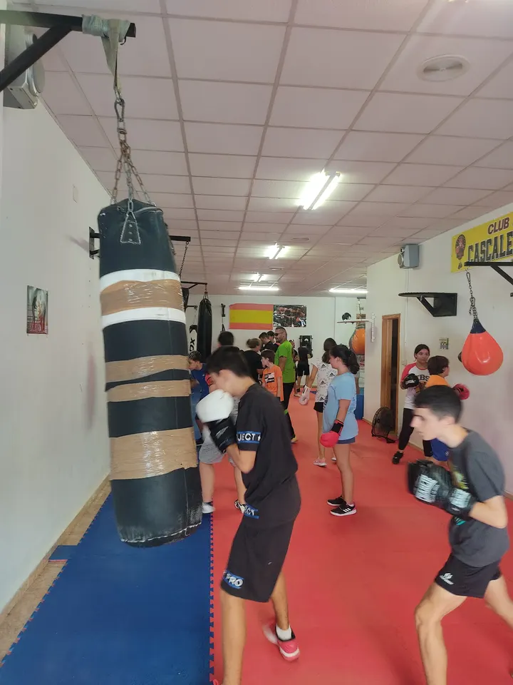 Club de Boxeo CASCALES DA SILVA — Boxeo en Barrio de Peral, Cartagena