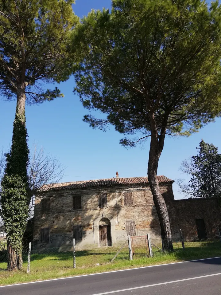 Lorenzo Y Federica Castiglione di Cervia — Palestre a Castiglione di Cervia