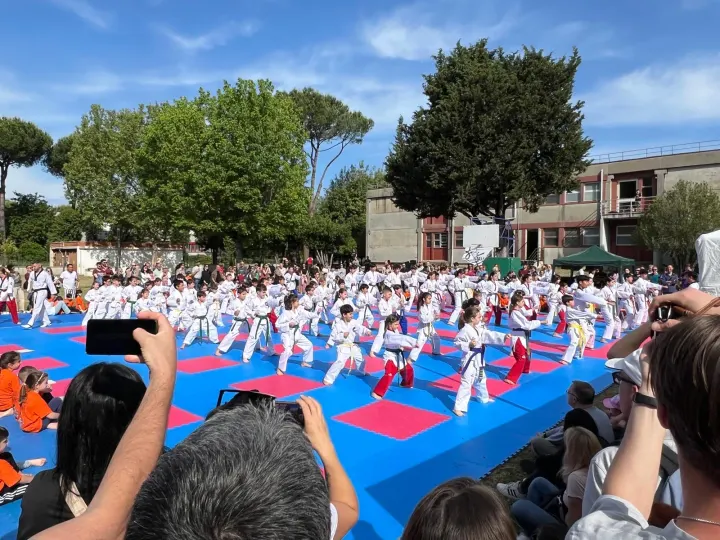 ASD Park Taekwondo — arti marziali-studio a Ponte Mammolo, Roma — 2