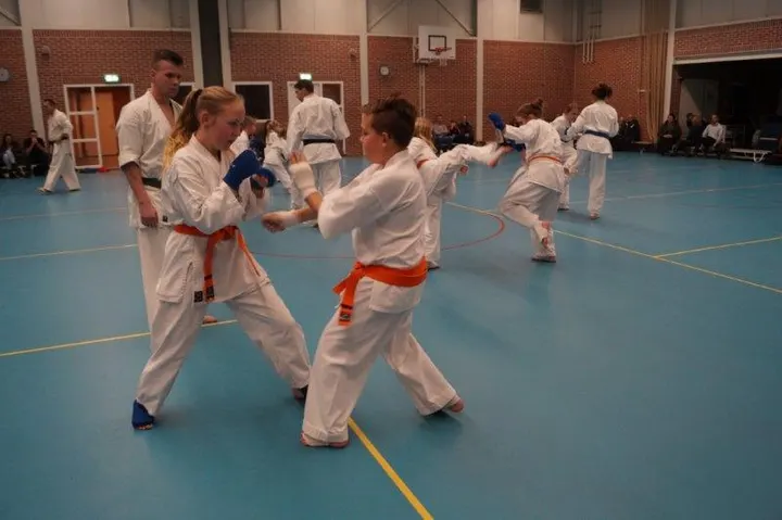 Kaizen Dojo Bergen op Zoom — Vechtsport in Havenkwartier, Bergen op Zoom