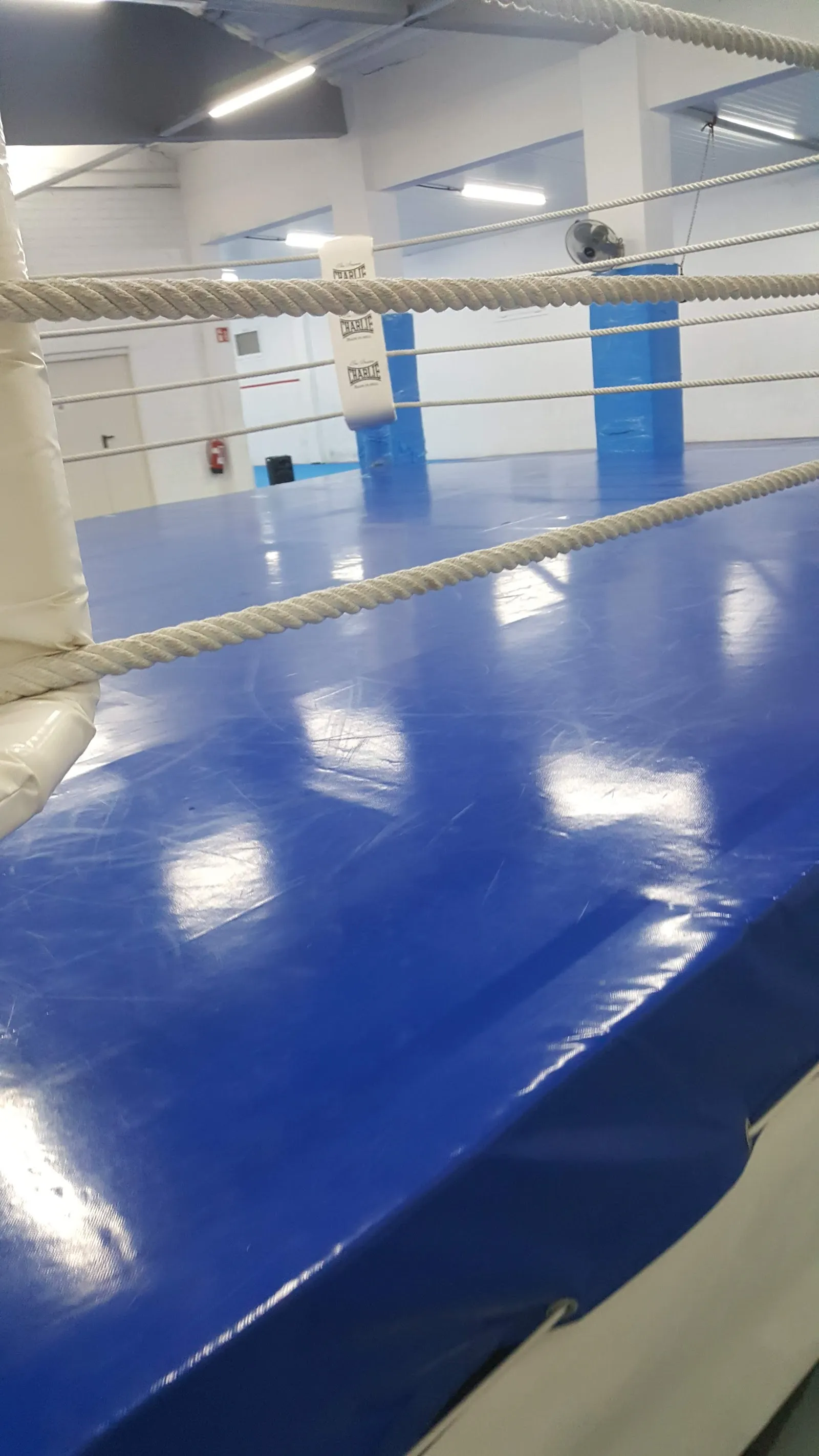 Topteam Fight & Fitness — estudio de fitness-studio en La Canya — 2