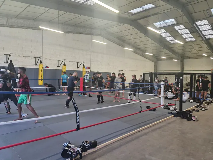 Monkey Gym Saint-Grégoire — mma-studio à Rennes — 4