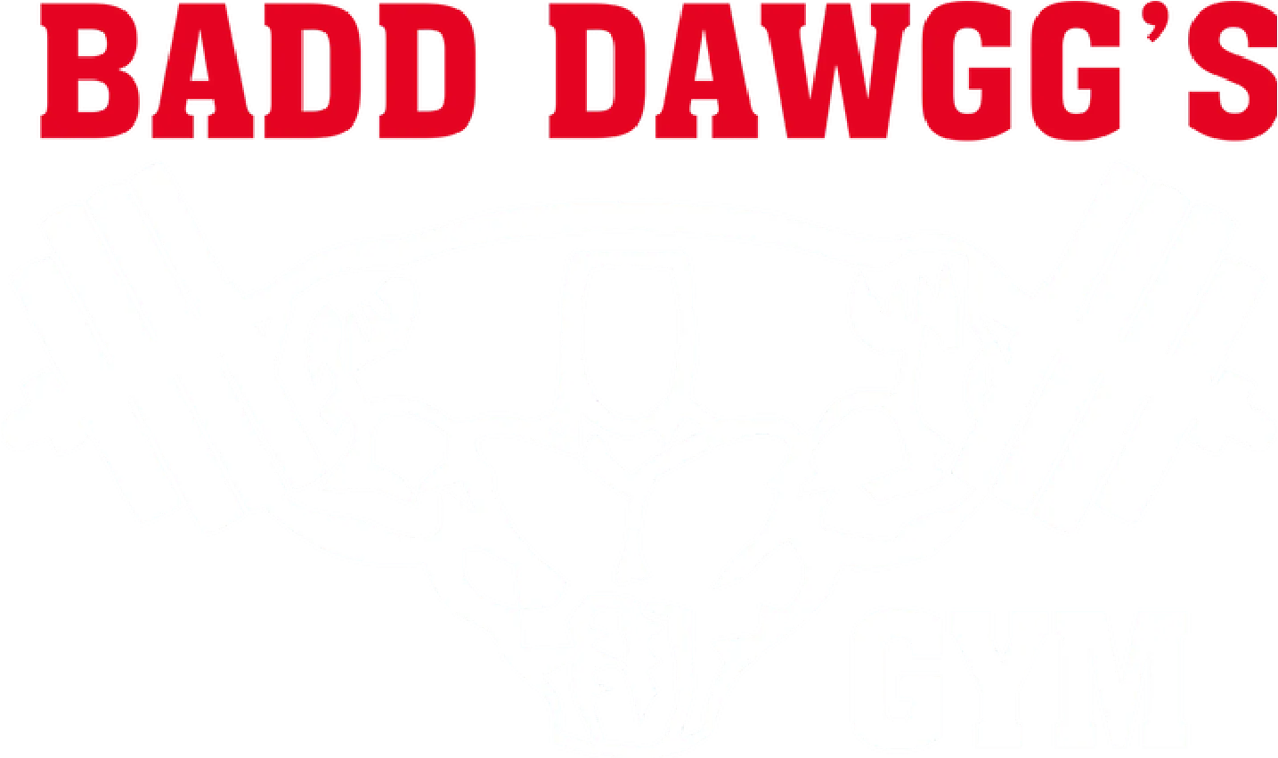 Badd Dawgg's Gym — fitness studio in Hereford — 3