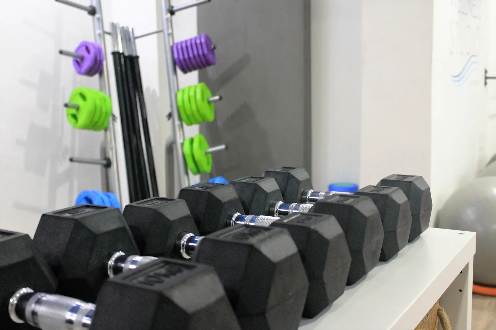 WELLNESS STUDIO Entrenador Personal Alicante — entrenamiento personal-studio en Alicante — 3