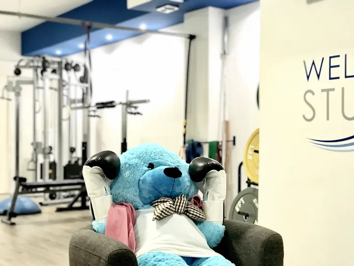 WELLNESS STUDIO Entrenador Personal Alicante — Entrenamiento funcional en Centro, Alicante