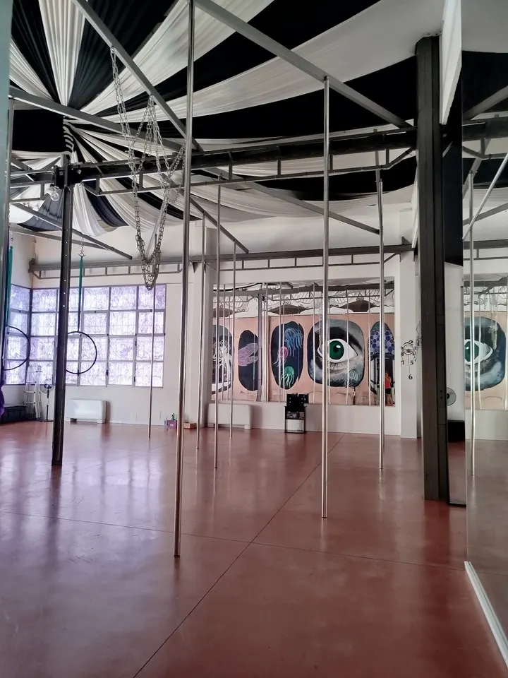POLE DANCE MILANO — pole dance-studio a Municipio 2, Milano — 2