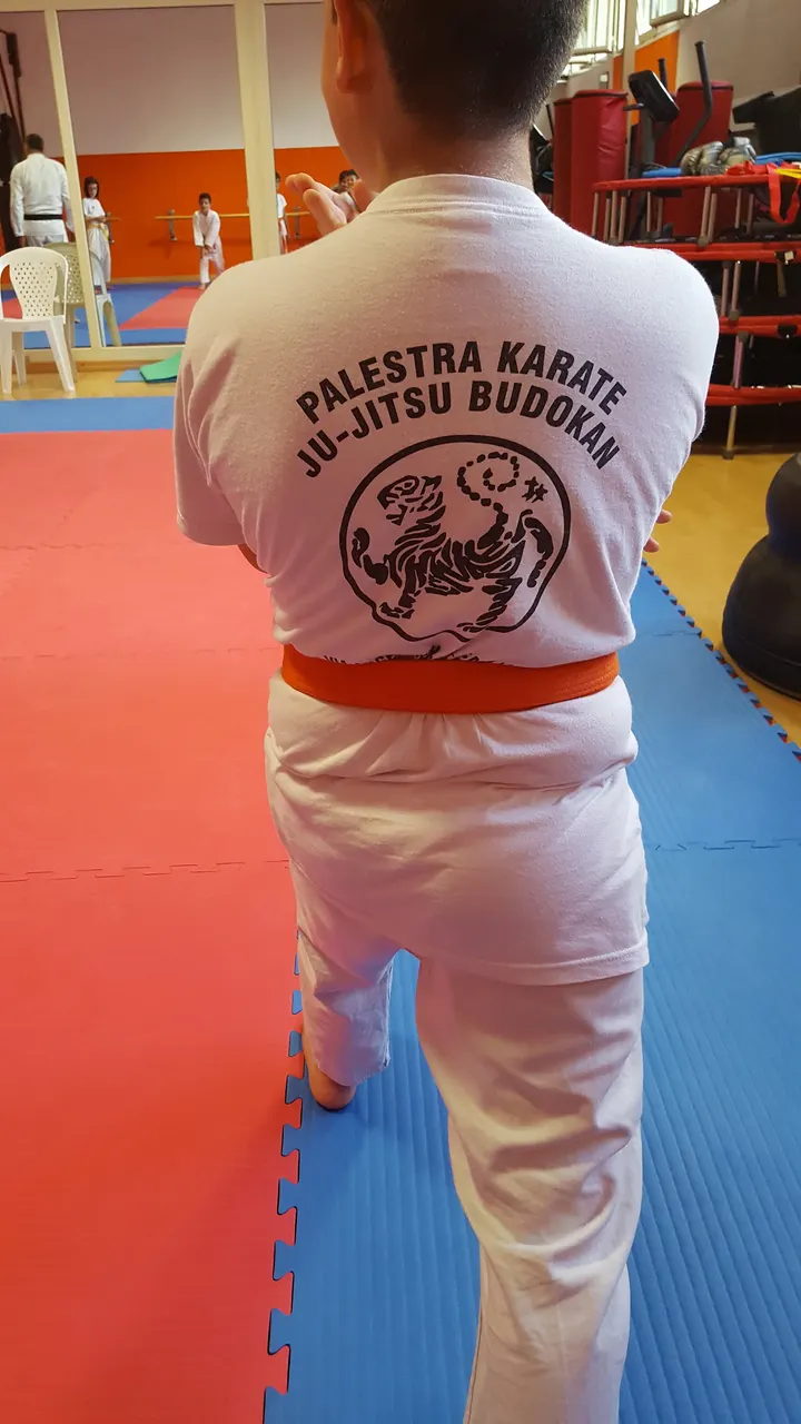 Palestra Budokan Fitness — palestre-studio a Is Mirrionis, Cagliari — 2